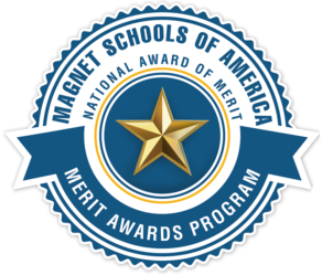 Merit Award